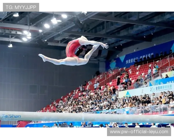 追踪统计：运动员的全能表现数据分析，运动员训练及运动表现监控